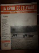 1956 LRDLE Elevage Au MAROC; En Allemagne; Les Lapins; Dindonneaux ; Aviculture; La Gastronomie; Etc - Animales