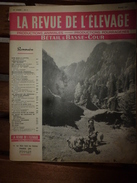 1956 LRDLE Elevage Au MAROC; En Hollande;Recalcifier La Terre;Pâturage ; Les Conseils; Etc - Tierwelt