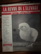 1957 LRDLE Expo Agricole En Angleterre; Hollande;Les Poussins De 1930 à 1954;Bovins Du CANADA ;etc - Animales