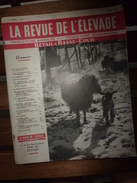 1956 LRDLE Elevage Au MAROC; En Allemagne; Angleterre;Le Lait  ;Faire Du YAOURT à La Ferme;Les CAILLES; Etc - Animali