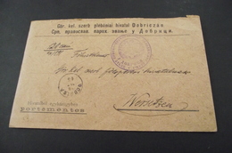 232. Letter Dobricaa(Banat)-Wersetz(Vrsac) 1898. - Prephilately