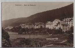 Cernier - Bois Du Paquier - Photo: Perrochet-Matile No. 215 - Cernier