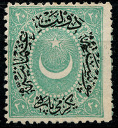 Stamp Turkey 1865-76? Lot#23 - Ongebruikt