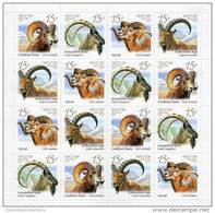 Lote 1906‑9P, 2013, Rusia, Russia, Pliego, Sheet, Fauna - Wild Goats, Ovis Ammon, Capra Aegagrus & Caucasica - FDC