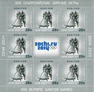 Lote 31339aP, 2013, Rusia, Russia, Pliego, Sheet, Olympic Winter Games, Sochi, Bobsleigh - FDC