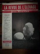 1958 LRDLE  :Production Fourragères Et Alimentation; En Pays De Galles; Etc - Animaux