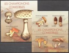 Burundi 2012, Mushrooms, 4val In BF+BF IMPERFORATED - Unused Stamps