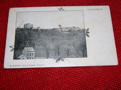 DOLHAIN - LIMBOURG -  Château Et Ville De LImbourg, Vue Prise De La Gare  -  1908 - Limbourg