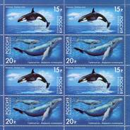 Lote 1788-9P, 2012, Rusia, Russia, Pliego, Sheet, Marine Life, Whale, Orca, Fauna - FDC