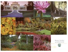 (676) Australia - (with Stamp) SA - Adelaide Botanic Gardens - Adelaide