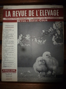 1957 LRDLE  : Prairies; Débroussaillage; Bovins; Les Brebis En Régions Pauvres;Les Dindons; Etc - Animales