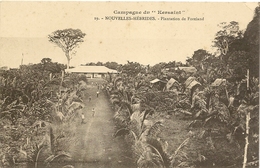 Wanuatu - Nouvelles Hebrides - Campagne Du Kersaint - Plantation De Foreland - N° 19 - Vanuatu