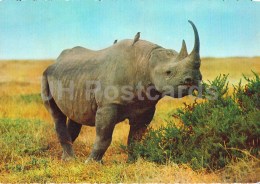 Black Rhinoceros - Rhinoceronte Nero - Africa - Animals - 396 - Italy - Unused - Rinoceronte