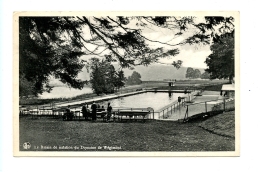 Le Bassin De Natation Du Domaine De Wégimont (1951) - Soumagne