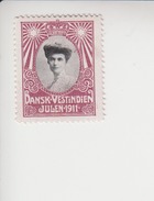 Deens West Indië Kerstvignet A-cataloog: AFA Julemaerker Jaar 1911 * Waarde 100,00 DKK - Denmark (West Indies)