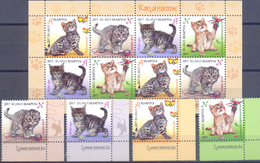 2017. Belarus, Kittens, 4v + S/s, Mint/** - Wit-Rusland