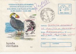 61435- TUFTED PUFFIN, BIRDS, REGISTERED COVER STATIONERY, 1996, ROMANIA - Albatros