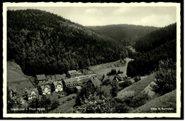 Giessübel  Thür. Wald  -  Bei Hildburghausen  -  Ansichtskarte Ca.1950    (7294) - Hildburghausen