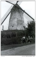 PARIKE Bij Brakel (O.Vl.) - Molen/moulin - Historische Opname Van De Stenen Molen, Kort Voor De Afbraak In 1949. - Brakel