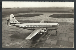 +++ CPA - MELSBROEK - Un Super Stratocruiser De La P.A.A. - Aviation - Avion   // - Steenokkerzeel