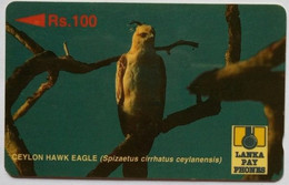 Sri Lanka 23SRLB Rs.100 Ceylon Hawk Eagle - Sri Lanka (Ceilán)