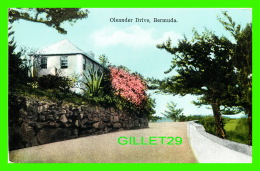 BERMUDA - OLEANDER DRIVE - PUB. BY YANKEE STORE & PHOENIX DRUG STORE - - Bermuda