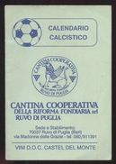 CALENDARIO CALCIO 1990-91 DA SERIE A  ALLA C2  24 PAGINE INTERNE( Cm12,3 X 8,5) PUBBLICITA VINI RUVO DI PUGLIA (STAMP48) - Sports