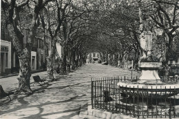 83 // NANS LES PINS  Cours Général De Gaulle,  8276 Edit SEF - Nans-les-Pins