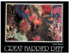 (PF 666) Australia - QLD - Great Barrier Reef - Great Barrier Reef