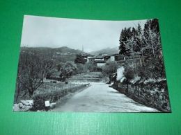 Delcampe - Cartolina Bioglio ( Biella ) - Scorcio Panoramico 1960 Ca - Biella