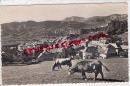 04- SEYNE LES ALPES- VUE GENERALE  LA PARE - 1958 - Autres & Non Classés