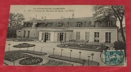 51 - AY - Chateau De Monsieur De Ayala , Côté Nord ::: Animation     ------- 422 - Ay En Champagne