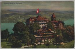 Hotel Kurhaus Fürigen Ob Statnsstad - Photo: E. Goetz No. 5256 - Andere & Zonder Classificatie