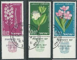 1961 ISRAELE USATO ANNIVERSARIO DELLO STATO CON APPENDICE - T7-5 - Used Stamps (with Tabs)