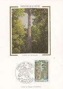 FRANCE Maximum Card 1970 - Trees