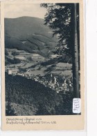 CPA - 33376-Allemagne - Waldkirch (zu Bestätigen) -Gesammansicht-Envoi Gratuit - Waldkirch