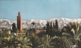 Afrique > Maroc Afrique > Marrakech La Koutoubia N° 1124 - Marrakech