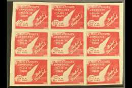 ROCKET MAIL 1937 Red Rocket Mail Stamp, "BOY SCOUTS JAMBOREE"  Pane Of 9- Signed Stephen Smith On Each Stamp.... - Autres & Non Classés