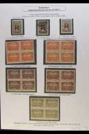 SCADTA 1920's To 1930's Mint & Used Part Of An Exhibition Collection On 4 Pages Includes 1921-23 To 60c, 2p... - Colombia