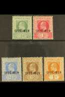 1902-03 Set, Overprinted "SPECIMEN", SG 3/7s, Fresh Mint. (5) For More Images, Please Visit... - Kaaiman Eilanden