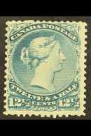 1868-71 12½c Pale Dull Blue, SG 60c, Mint, Tiny Pin Hole. For More Images, Please Visit... - Altri & Non Classificati