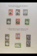 1938-52 PICTORIALS. SPECIALIZED SUPERB MINT & NHM COLLECTION On Pages, Includes 1938-52 All Values With... - Bermudes