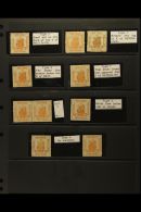 STELLALAND 1884 3D ORANGE GROUP Of 10 Mint Stamps (incl Pair) Each Identified By Type With Helpful Identification... - Other & Unclassified