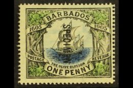 1906 SPECIMEN 1d Black, Blue & Green Tercentenary "Olive Blossom" Overprinted "Specimen", SG 152s, Very Fine... - Barbados (...-1966)