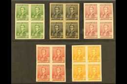 1896-7 COLOUR TRIALS & PROOFS 1p.20 San Martin COLOUR TRIALS In FIVE Different Colours In BLOCKS OF FOUR On... - Andere & Zonder Classificatie