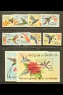 BARBUDA MAIL 1993 Hummingbirds Complete Set With Both Mini-sheets, SG 1425/1432 Plus MS1433, Never Hinged Mint. (8... - Other & Unclassified