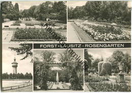 Forst / Lausitz - Rosengarten - Foto-Ansichtskarte - Forst