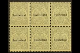 1889-90 ½d Grey, Perf 12½ Overprinted SG 4, Block Of Six (3 X 2), Fine And Fresh Never Hinged Mint.... - Swaziland (...-1967)