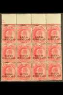 1903 KEVII 1a Carmine (SG 26) - A Never Hinged Mint Upper Marginal BLOCK OF TWELVE (4 X 3) Including "SUMALILAND"... - Somaliland (Protectorate ...-1959)