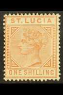 1883 1s Orange- Brown, SG 36, Mint, Scarce. For More Images, Please Visit... - St.Lucia (...-1978)